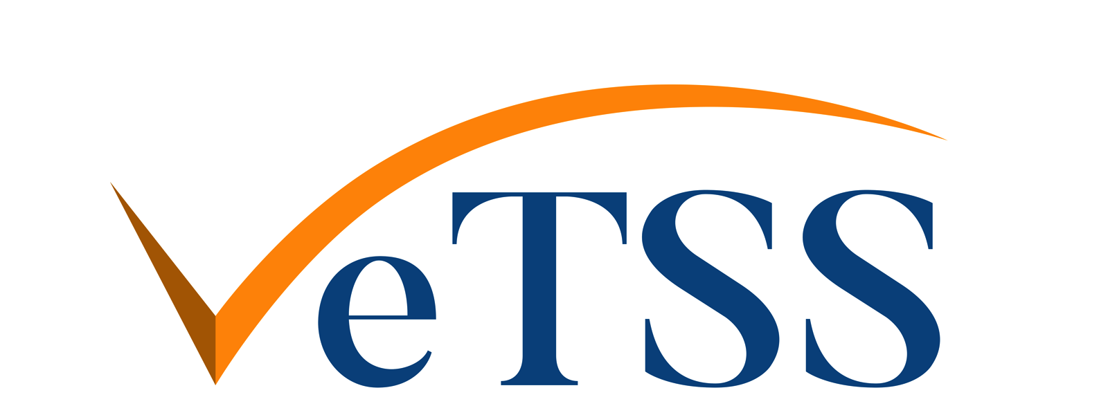 VeTSS (Research Institute in Automated Program Analysis and Verification)